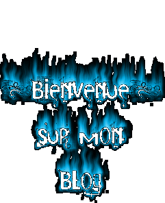 bienv sur mon blog